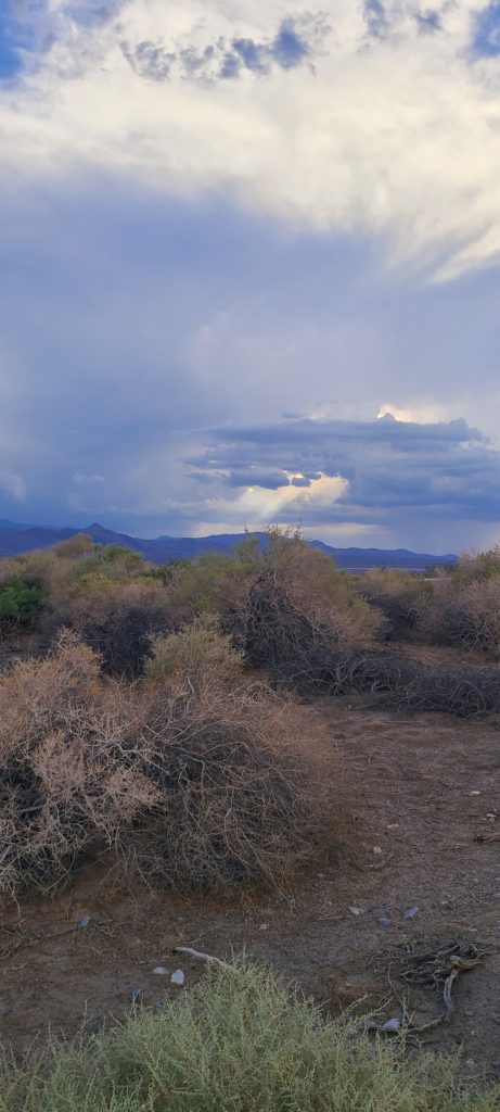 Desert landscape with dry, bushy vegetation in the foreground, distant mountains under a cloudy sky, and soft sunlight breaking through the clouds.