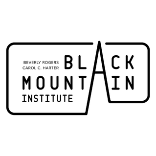 Black Mountain Institute logo
