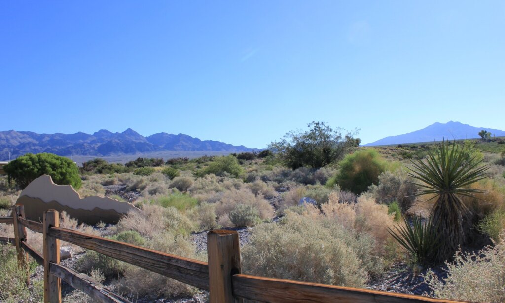 Bobbie+Ann+Howell_Desert+National+Wildlife+Refuge_9249+