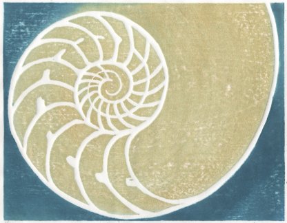 Variatons of a Chambered Nautilus by Carol Brown