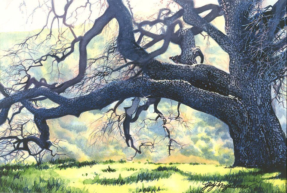 Landscape watercolor painting of a tree with stretched branches by Guy Magallanes