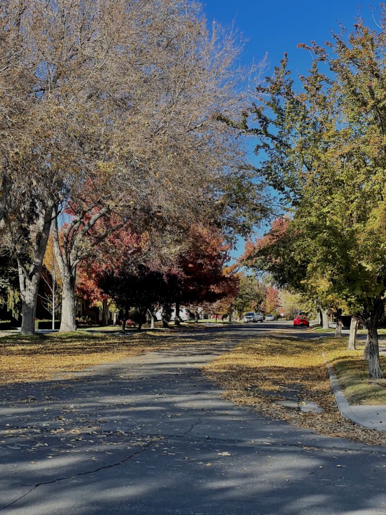 A quiet suburban street lined with trees in autumn, their leaves turning shades of orange, yellow, and red. Fallen leaves cover the ground and sidewalks. The sky is clear and blue, and a red car is parked in the distance.
