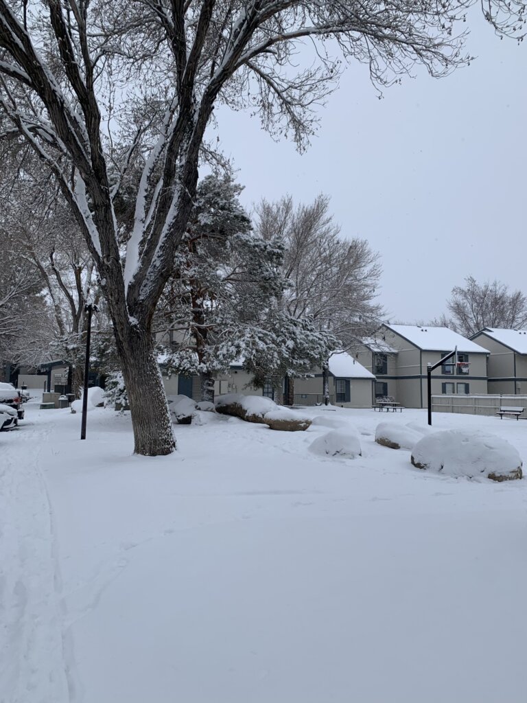 A snow-covered residential area with trees, rocks, and apartments in the background. The ground, trees, and rooftops are blanketed with fresh snow on a cloudy winter day.