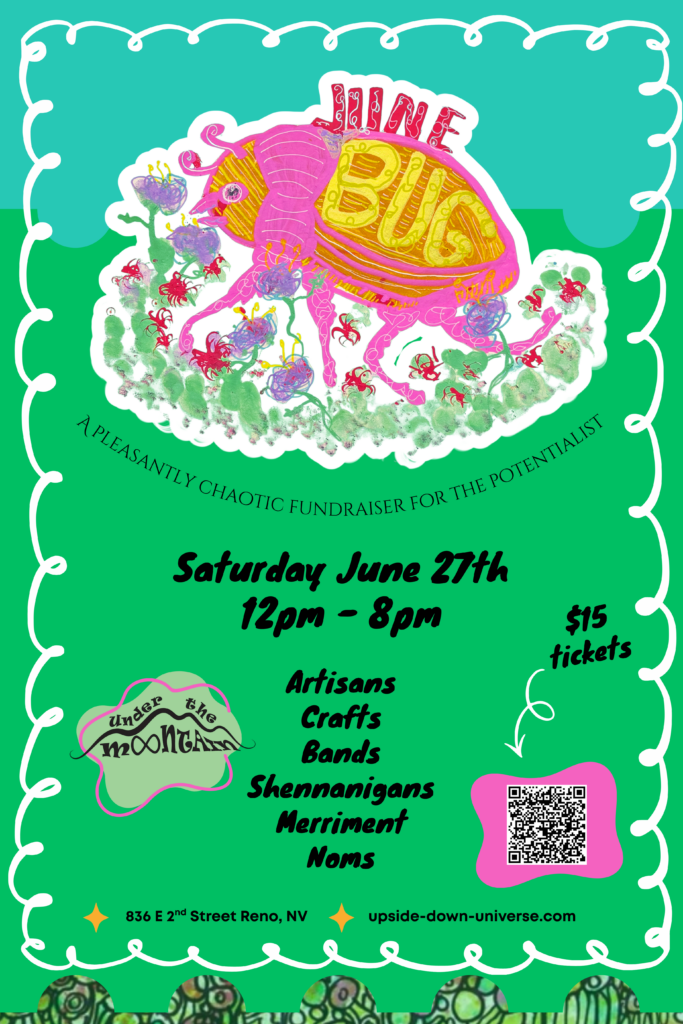 Colorful poster for the “June Bug” fundraiser, featuring a large, whimsical bug illustration. Event details: Saturday June 27th, 12pm–8pm, 836 E 2nd St Reno; $15 tickets; artisans, crafts, bands, food, and fun.