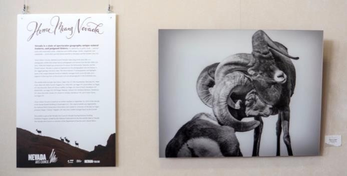 A wall display features two pieces: a detailed text plaque on the left, and a black-and-white photo of two bighorn sheep on the right
