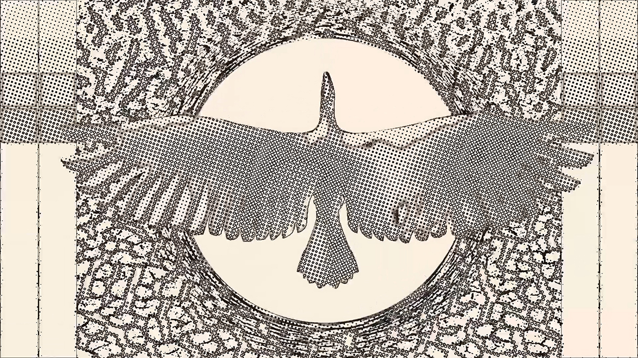 Ariel view of a turkey vulture flying over a hole.