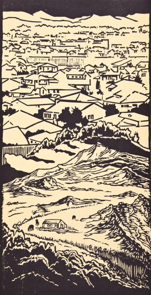 Image by Schmidt-Artango