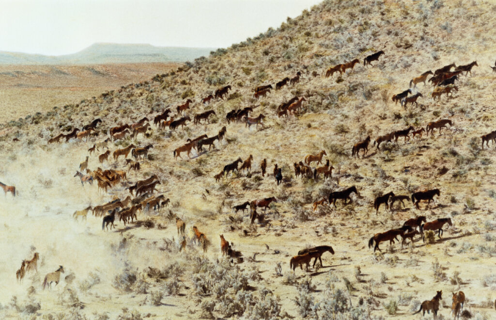 Paula Morin, © Tale of the Common , 2000, giclee print made from hand painted black & white photograph, Nevada Arts Council Collection.