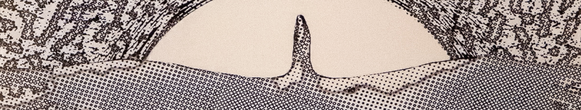 Black and white illustration of a mountain range with a single sharp peak in the center, surrounded by textured, stippled patterns that suggest rocks or foliage.