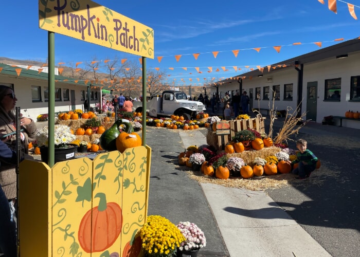 A Verdi Pumpkin Patch ticket booth with bales of hay and pumpkins decorated the school area.