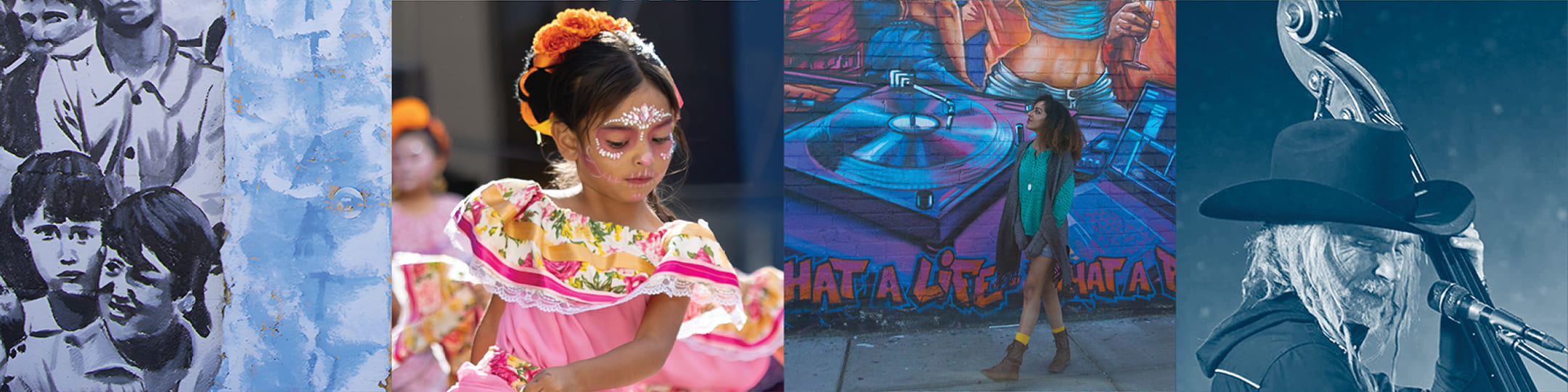 orgnization-directory